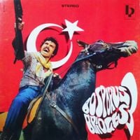 Various Artists - Bosporus Bridges 3 - A Wide Selection Of Turkish Funk And Jazz