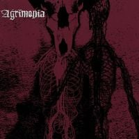 Agrimonia - Agrimonia