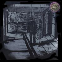Universal Eyes - Four Variations on "Artificial Society"