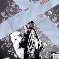 Jelly House - XO Rizz Llif3