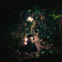 starfall - come home