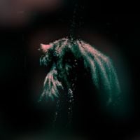 Desofusiony - Urban Thriller