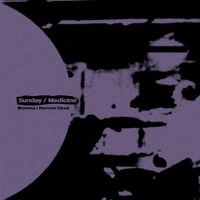 Narrow Head - Sunday / Medicine