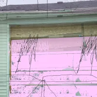 Diseased Dog Bark - Heavy Fuck; Dismember Him!