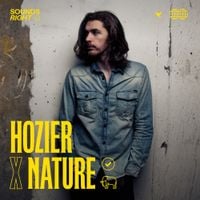 Hozier - Like Real People Do