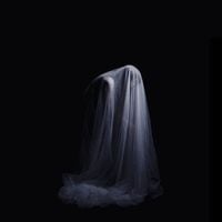 Ian William Craig - A Forgetting Place