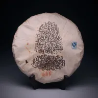 Erebus - 2012 Byh Yiwu Sheng Pu'erh