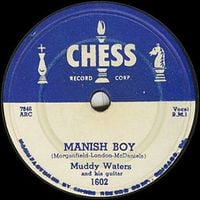 Muddy Waters - Mannish Boy