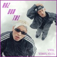 V:RGO - RAZ DVA TRI