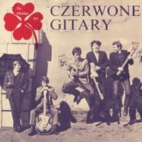 Czerwone Gitary - To właśnie my