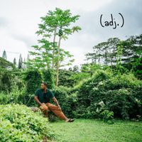 Ark Woods - (adj.)