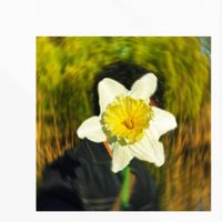 Parallel Jeremy - Botanical Ambient Works