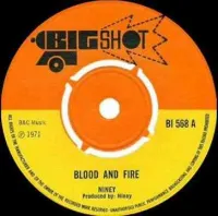 Niney The Observer - Blood and Fire / Mud and Water