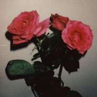 absent - rosen
