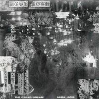 The Polar Dream - Alma Gris