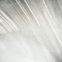 aftrr! - aftrrLife