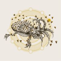 Dephosphorus - Stargazing and Violence / Everything but Lightning