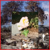 DIIV - Return of Youth