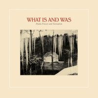 Paula Frazer And Tarnation - What Is and Was