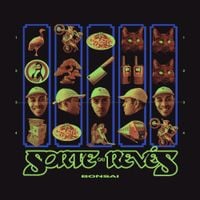 Bonsai - Sorte Ou Rev&eacute;s