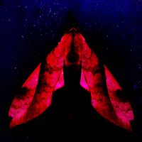 Parvāne - Parvāne