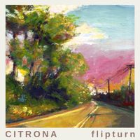 flipturn - Citrona