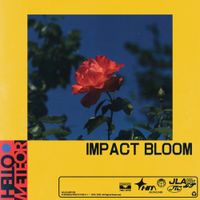 Hello Meteor - Impact Bloom