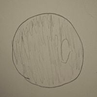 The 365 Project - 140: Fell to Pieces