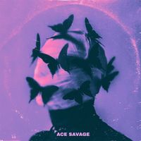 Ace Savage - the party we went to sober