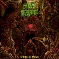 Medical Negligence - Odium in Venas