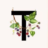 Труд - 3