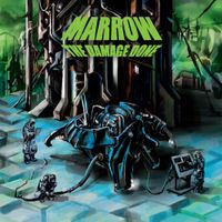 Marrow - The Damage Done