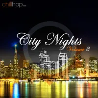 Various Artists - City Nights Volume 3