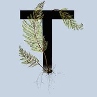 Труд - 6