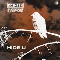 Kosheen - Hide U