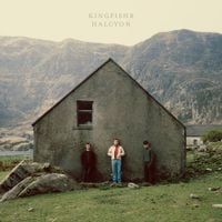Kingfishr - Halcyon