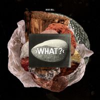 Bodi Bill - What?