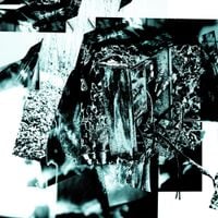 Soaked In Disillusion - Counter