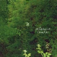 Merli Armisa - Ortensie Comete
