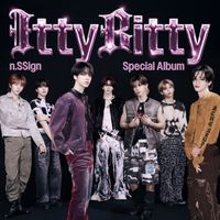 n.SSign - Itty Bitty