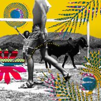 Samuca E A Selva - Tudo Que Move &eacute; Sagrado