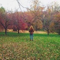Evangeline Young - Splinters