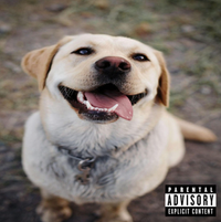 FemboiCarti - JERK OFF TO A DOG