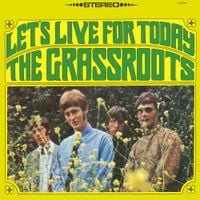 The Grass Roots - Let's Live for Today