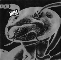 Hum - Sundress / Time is Melting