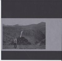 Babelfishh - to do without