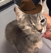 Skippy McDippy - Skippy McDippy