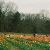 Other Nothing - pop