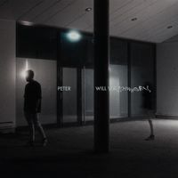 Peat - PETER WILL VERSCHWINDEN