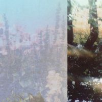 Anteater - Slow Death